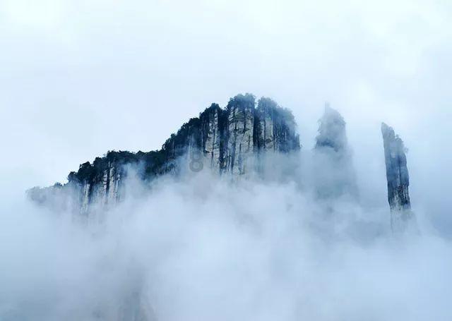 蒿坪绿茶是生长在硒谷紫阳的汉江湖畔吗？