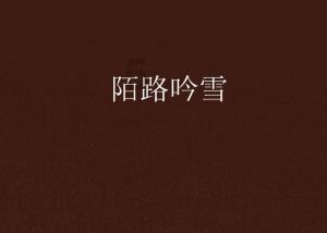 冠军射击手